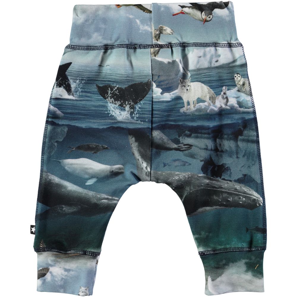 Спортивные брюки Molo Sammy Arctic Landscape, арт. 3W18I224.4746, цвет Синий