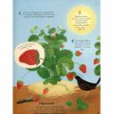 Книга "Усе починається з насіння…як росте їжа" (укр.), арт. 9786177579211 (фото5)