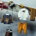 Пуловер Chicco Mr. Racoon, арт. 090.69363.095, цвет Серый (фото3)