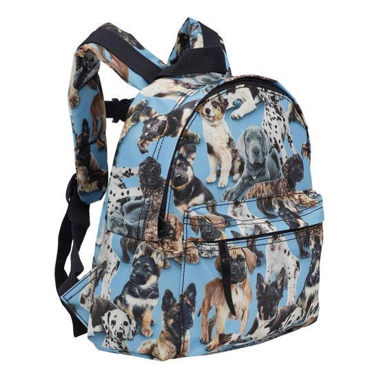 Рюкзак Molo Backpack Pups, арт. 7S22V201.6462, цвет Голубой